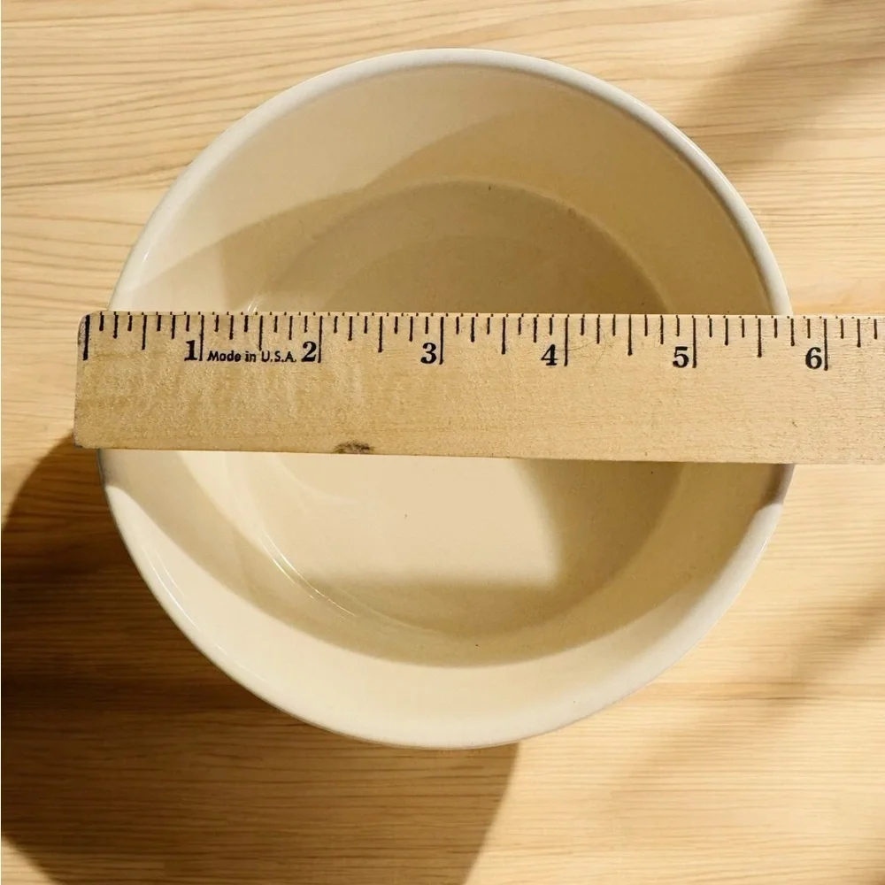 New Rae Dunn Dog Pet Bowl 